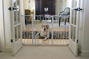 Carlson extra wide pet gate